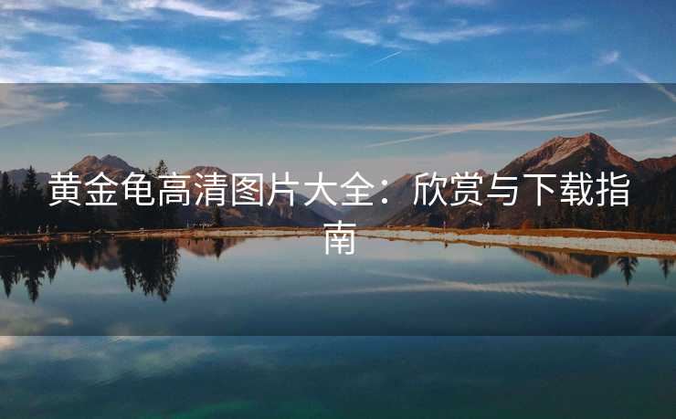 黄金龟高清图片大全:欣赏与下载指南 黄金龟高清图片大全:欣赏与下载指南