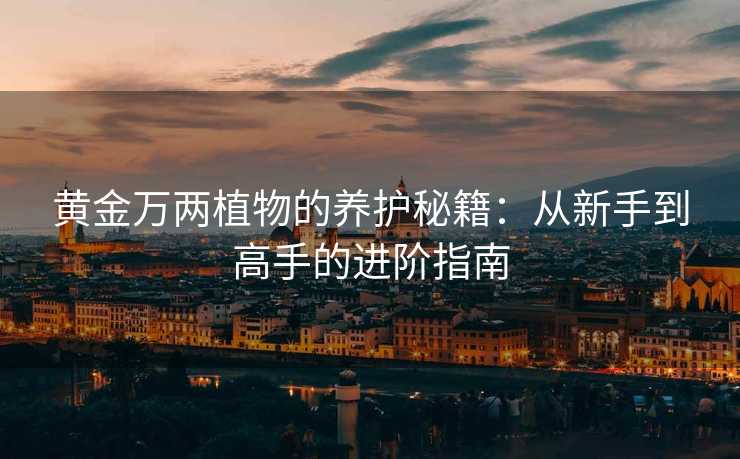黄金万两植物的养护秘籍:从新手到高手的进阶指南 黄金万两植物的养护秘籍:从新手到高手的进阶指南