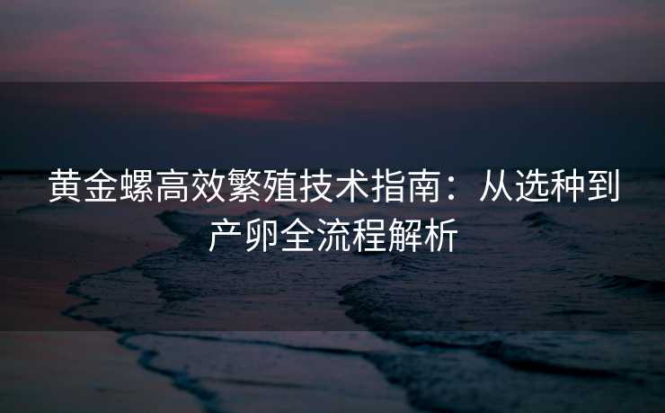 黄金螺高效繁殖技术指南:从选种到产卵全流程解析 黄金螺高效繁殖技术指南:从选种到产卵全流程解析