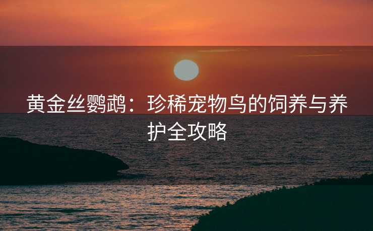 黄金丝鹦鹉:珍稀宠物鸟的饲养与养护全攻略 黄金丝鹦鹉:珍稀宠物鸟的饲养与养护全攻略