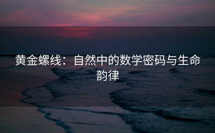 黄金螺线:自然中的数学密码与生命韵律 黄金螺线:自然中的数学密码与生命韵律