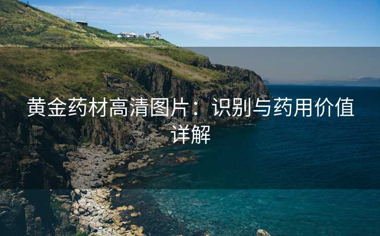 黄金药材高清图片:识别与药用价值详解 黄金药材高清图片:识别与药用价值详解