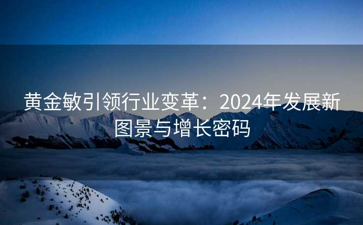 黄金敏引领行业变革:2024年发展新图景与增长密码 黄金敏引领行业变革:2024年发展新图景与增长密码