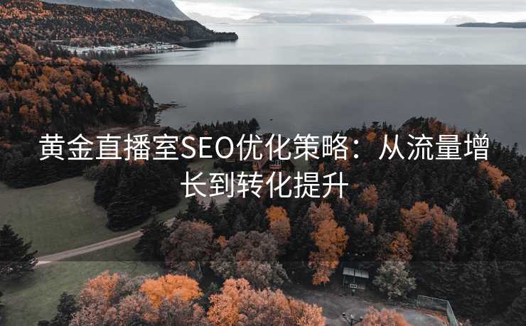 黄金直播室SEO优化策略:从流量增长到转化提升 黄金直播室SEO优化策略:从流量增长到转化提升