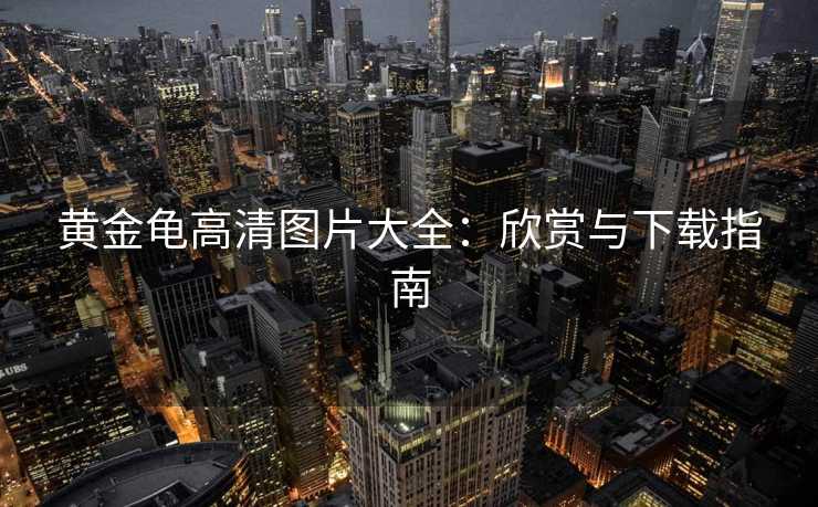 黄金龟高清图片大全:欣赏与下载指南 黄金龟高清图片大全:欣赏与下载指南