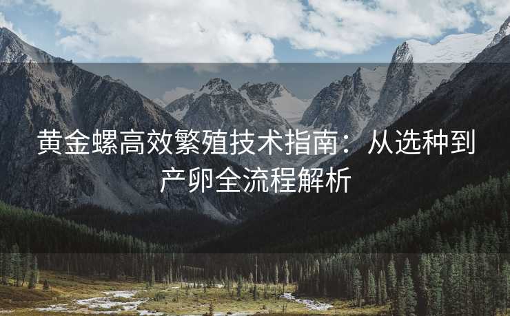黄金螺高效繁殖技术指南:从选种到产卵全流程解析 黄金螺高效繁殖技术指南:从选种到产卵全流程解析