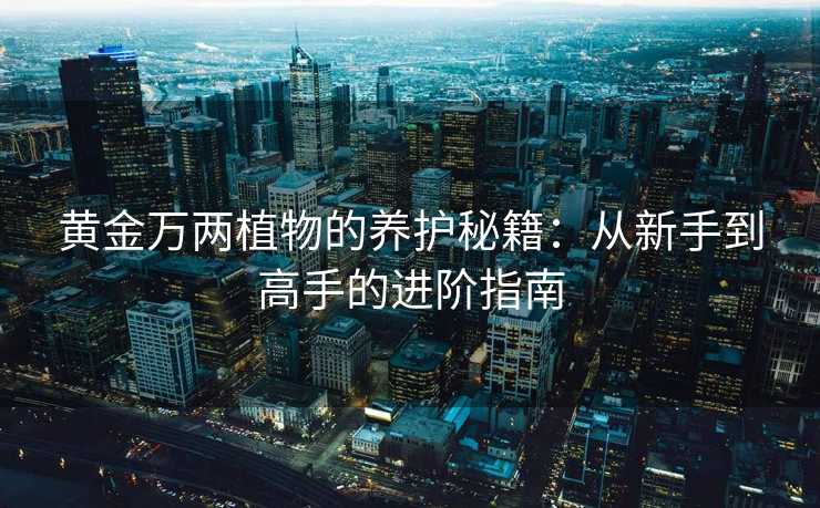黄金万两植物的养护秘籍:从新手到高手的进阶指南 黄金万两植物的养护秘籍:从新手到高手的进阶指南