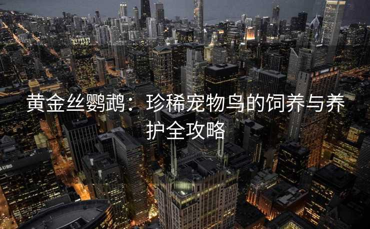 黄金丝鹦鹉:珍稀宠物鸟的饲养与养护全攻略 黄金丝鹦鹉:珍稀宠物鸟的饲养与养护全攻略