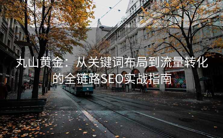 丸山黄金:从关键词布局到流量转化的全链路SEO实战指南 丸山黄金:从关键词布局到流量转化的全链路SEO实战指南