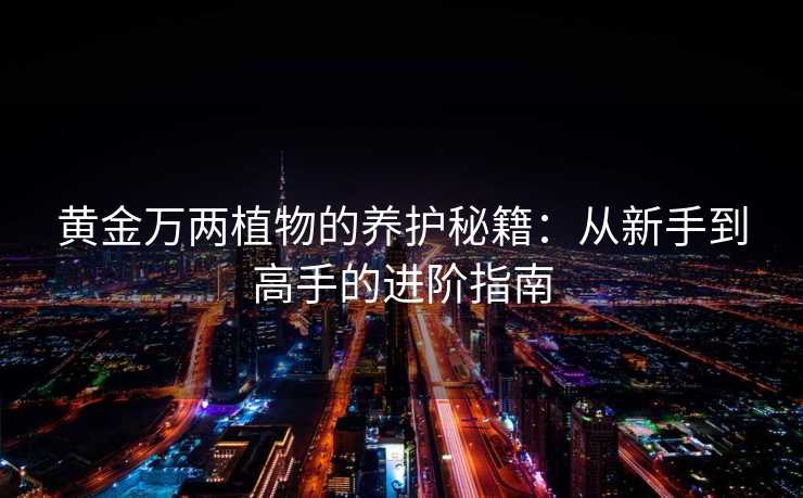 黄金万两植物的养护秘籍:从新手到高手的进阶指南 黄金万两植物的养护秘籍:从新手到高手的进阶指南