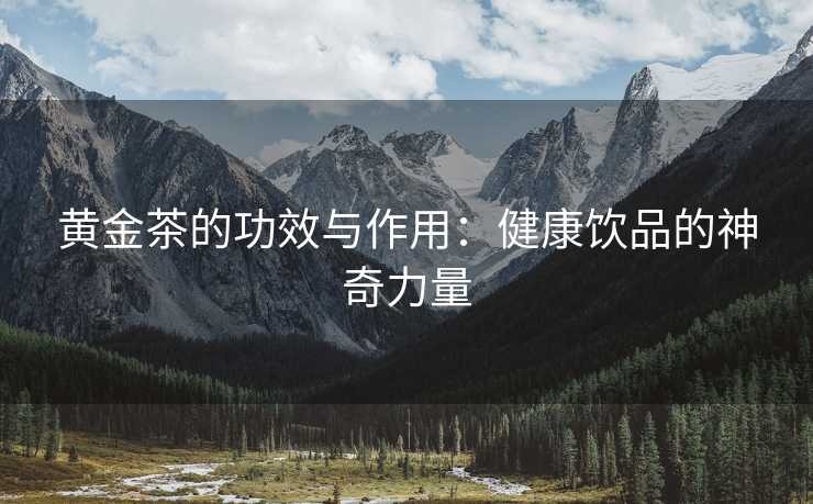 黄金茶的功效与作用:健康饮品的神奇力量 黄金茶的功效与作用:健康饮品的神奇力量