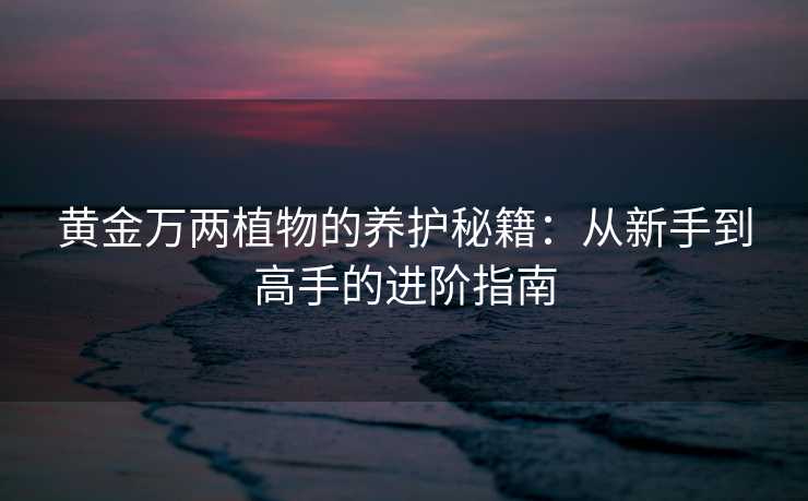 黄金万两植物的养护秘籍:从新手到高手的进阶指南 黄金万两植物的养护秘籍:从新手到高手的进阶指南