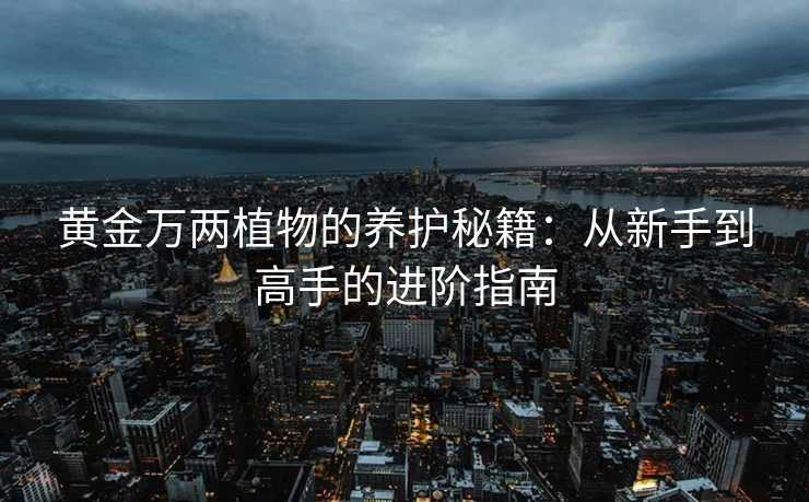 黄金万两植物的养护秘籍:从新手到高手的进阶指南 黄金万两植物的养护秘籍:从新手到高手的进阶指南