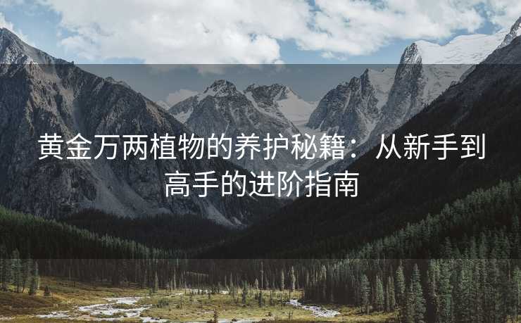 黄金万两植物的养护秘籍:从新手到高手的进阶指南 黄金万两植物的养护秘籍:从新手到高手的进阶指南