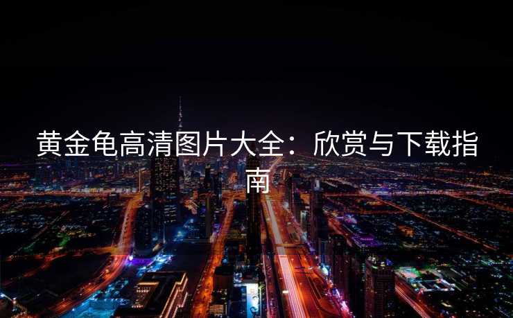 黄金龟高清图片大全:欣赏与下载指南 黄金龟高清图片大全:欣赏与下载指南