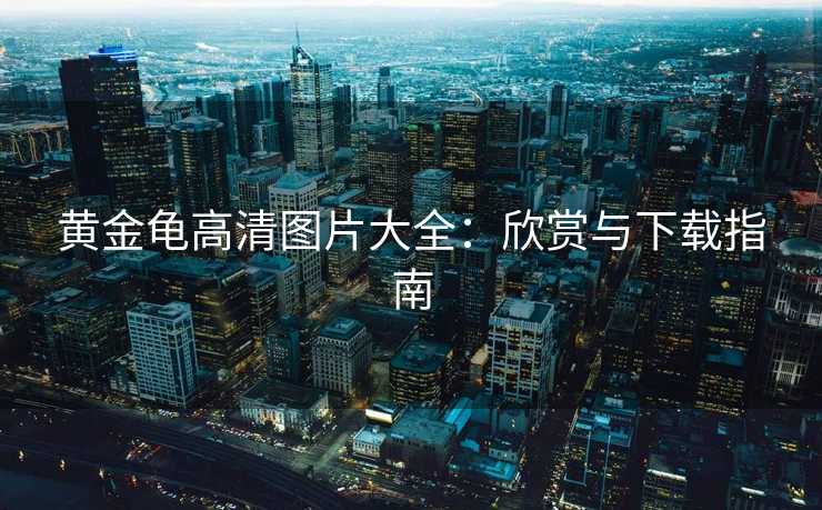 黄金龟高清图片大全:欣赏与下载指南 黄金龟高清图片大全:欣赏与下载指南