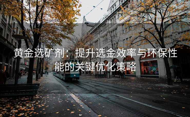 黄金选矿剂:提升选金效率与环保性能的关键优化策略 黄金选矿剂:提升选金效率与环保性能的关键优化策略