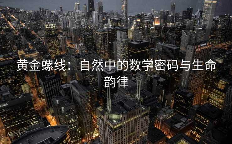 黄金螺线:自然中的数学密码与生命韵律 黄金螺线:自然中的数学密码与生命韵律