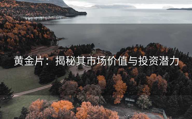 黄金片:揭秘其市场价值与投资潜力 黄金片:揭秘其市场价值与投资潜力