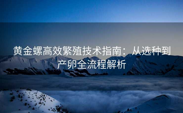 黄金螺高效繁殖技术指南:从选种到产卵全流程解析 黄金螺高效繁殖技术指南:从选种到产卵全流程解析