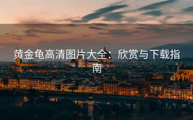 黄金龟高清图片大全:欣赏与下载指南 黄金龟高清图片大全:欣赏与下载指南