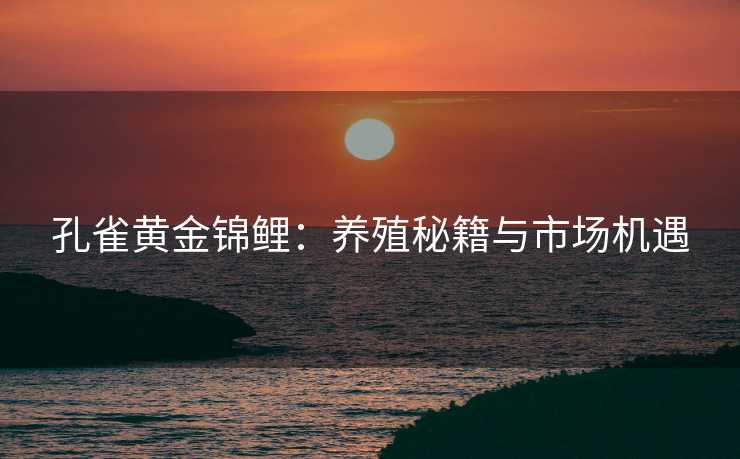 孔雀黄金锦鲤:养殖秘籍与市场机遇 孔雀黄金锦鲤:养殖秘籍与市场机遇